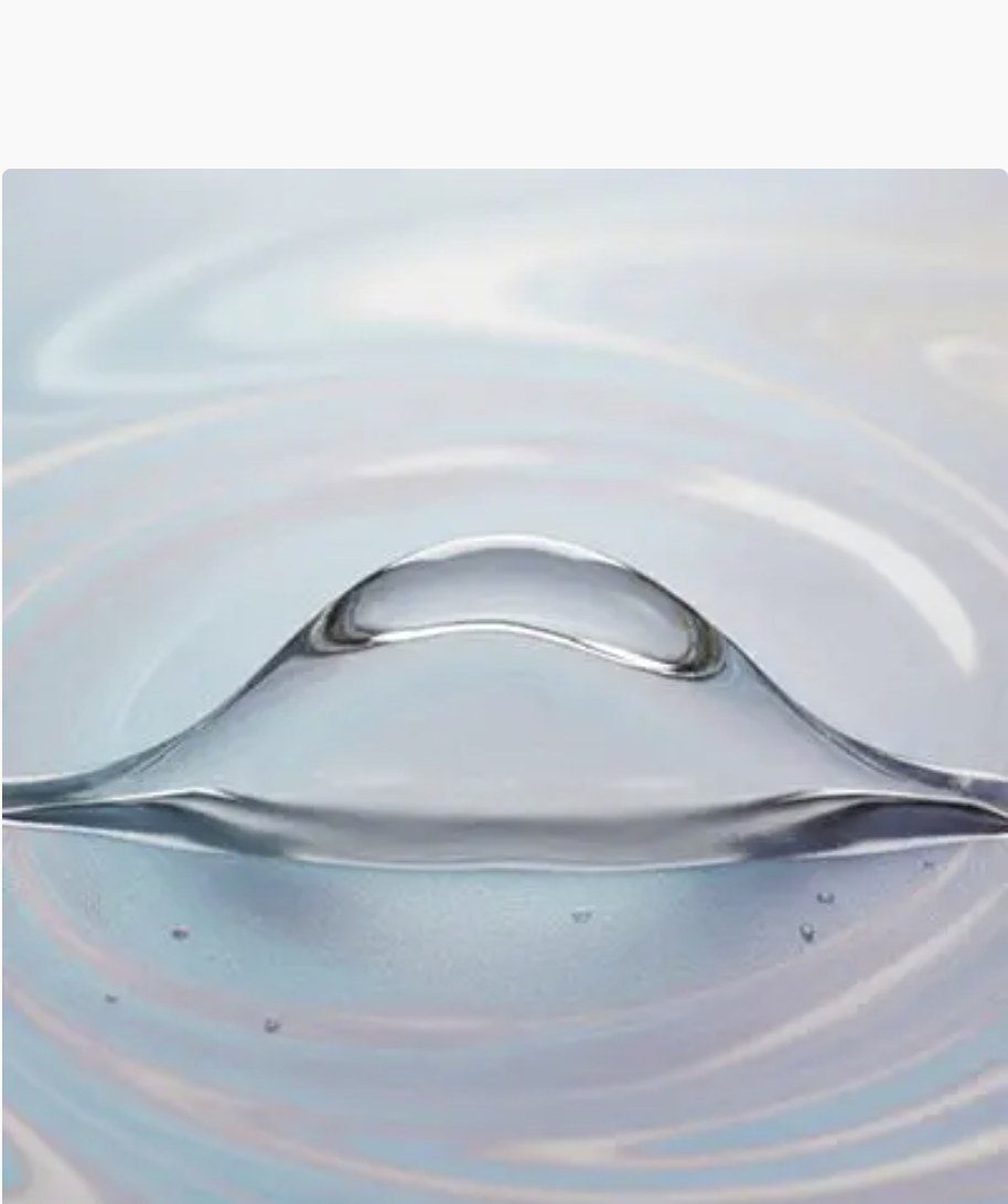 Ginopol L24 — representative product image